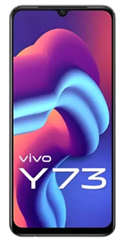 vivoy73 b.jpg