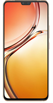 vivov23 b.jpg