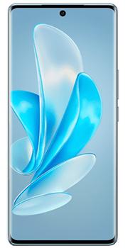 vivov29 b.jpg