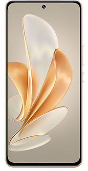 vivov29e b.jpg