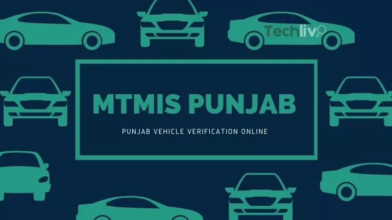 MTMIS Punjab