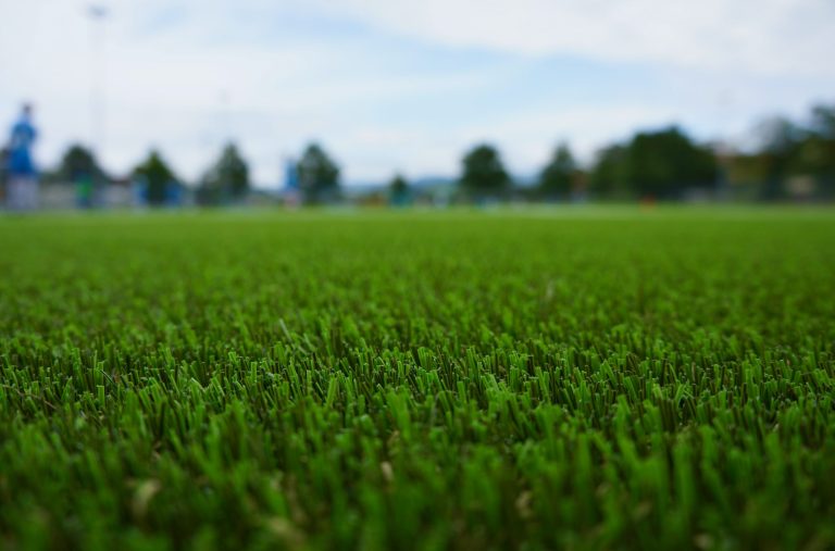 enhance home aesthetics the vital role of artificial turf suppliers