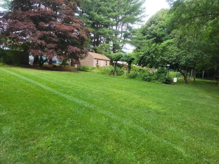 lawn services top notch property services sprague ct 768x576