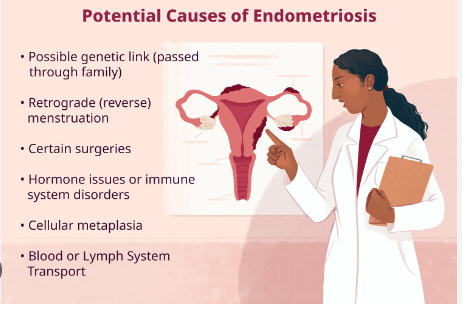 Endometriosis: An Overview Of The Condition